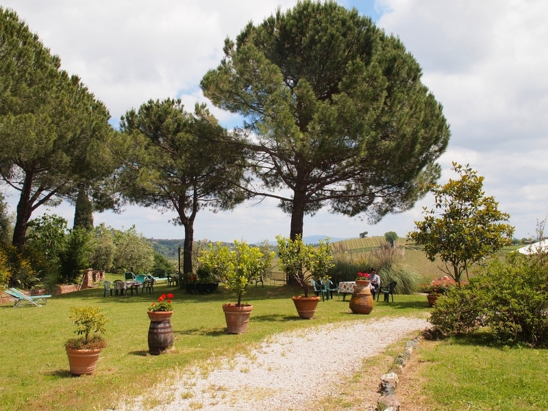 PodereMontese12 PodereMontese12