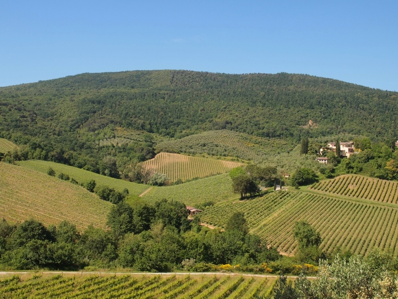 PodereMontese20 PodereMontese20